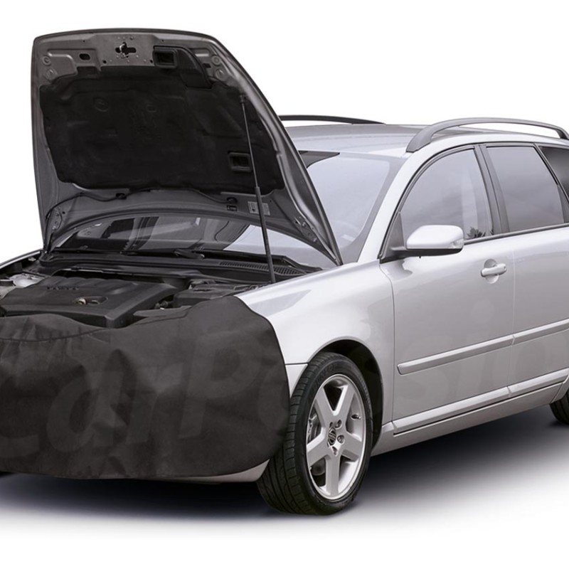 ΠΡΟΣΤΑΤΕΥΤΙΚΟ ΠΡΟΦΥΛΑΚΤΗΡΑ ΣΥΝΕΡΓΕΙΟΥ