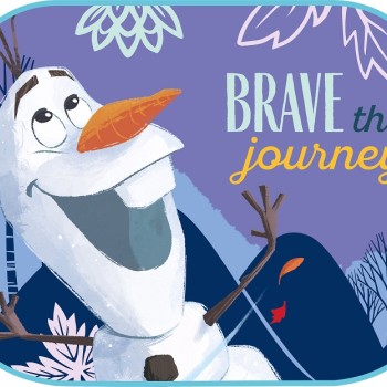 ΗΛΙΟΠΡΟΣΤΑΣΙΕΣ ΠΛΑΙΝΕΣ FROZEN ΜΕ ΒΕΝΤΟΥΖΑ 44x35cm AMIO - 2 Τεμ.