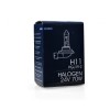H11 24V 70W PGJ19-2 STANDARD ΑΛΟΓΟΝΟΥ ΚΟΥΤΙ 1ΤΕΜ. M-TECH