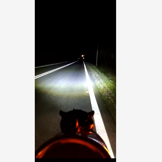 Προβολάκι HEYWORD DUAL LIGHT ΛΕΥΚΟ-ΚΙΤΡΙΝΟ 20W 3000lm 6000K/2500K